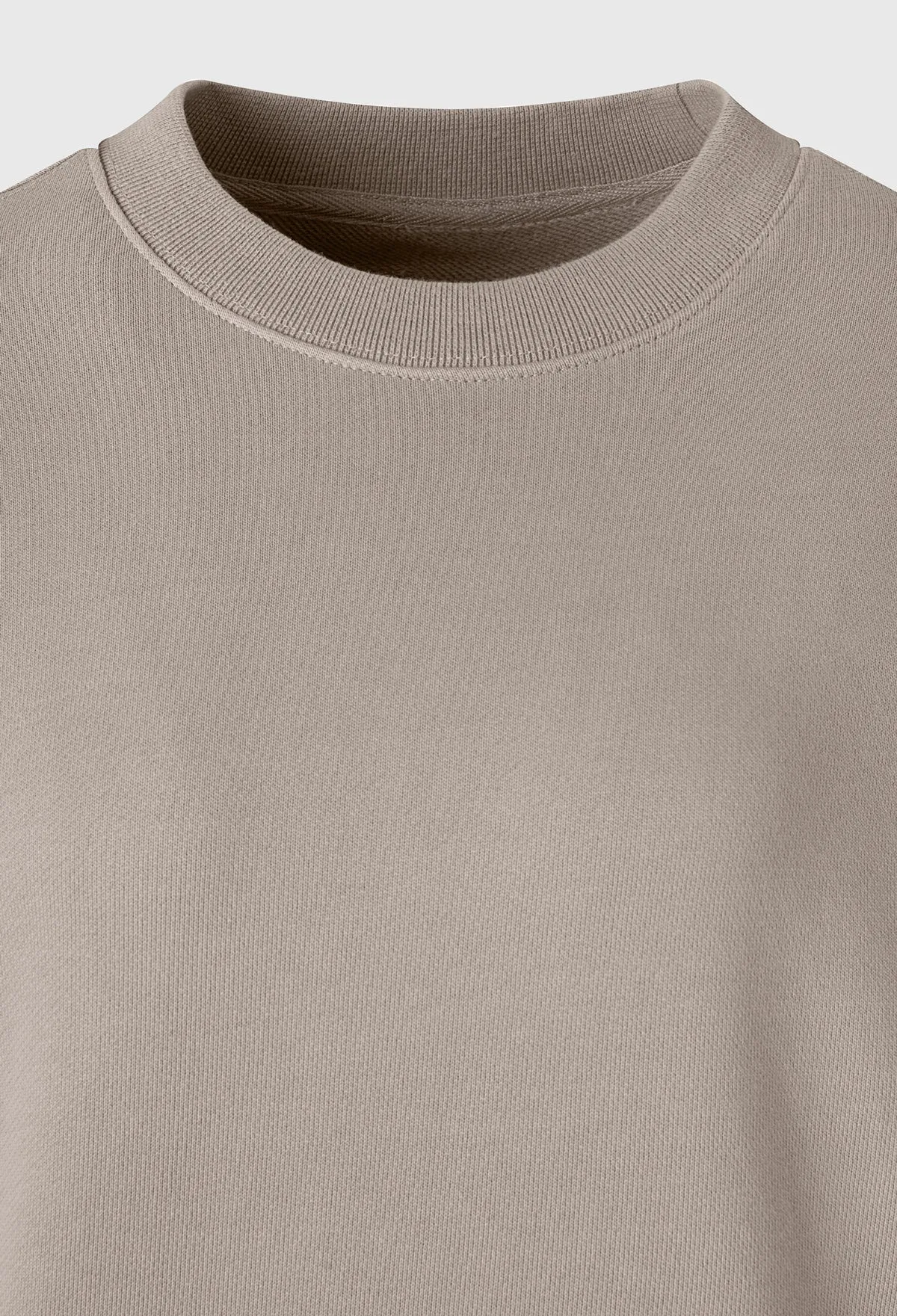 Basic R Zip-up Sweatshirt In Moca Beige