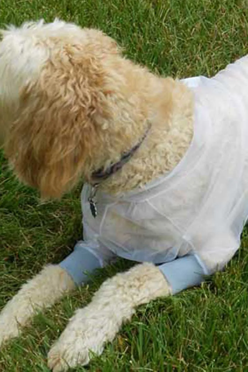 BugBaffler® Dog Protective Jacket