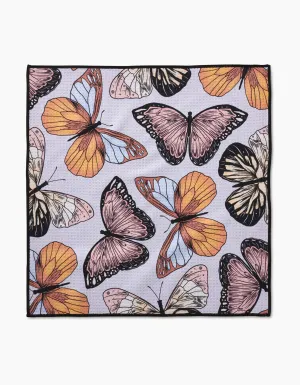 Cute Butterflies