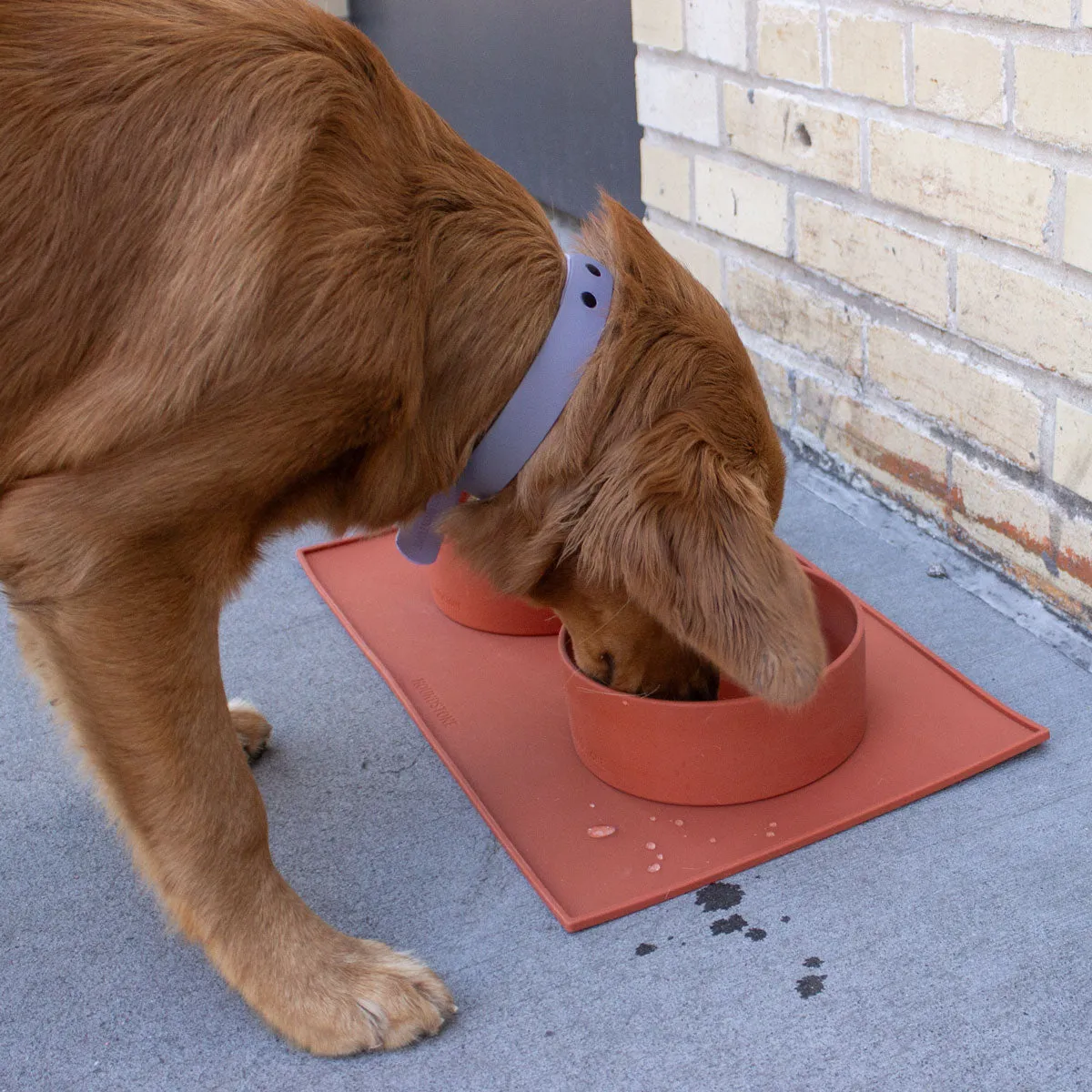 Food Grade Silicone Dog Bowl - Mauve, 4.5 Cups Volume, Dishwasher Safe, Non-Slip