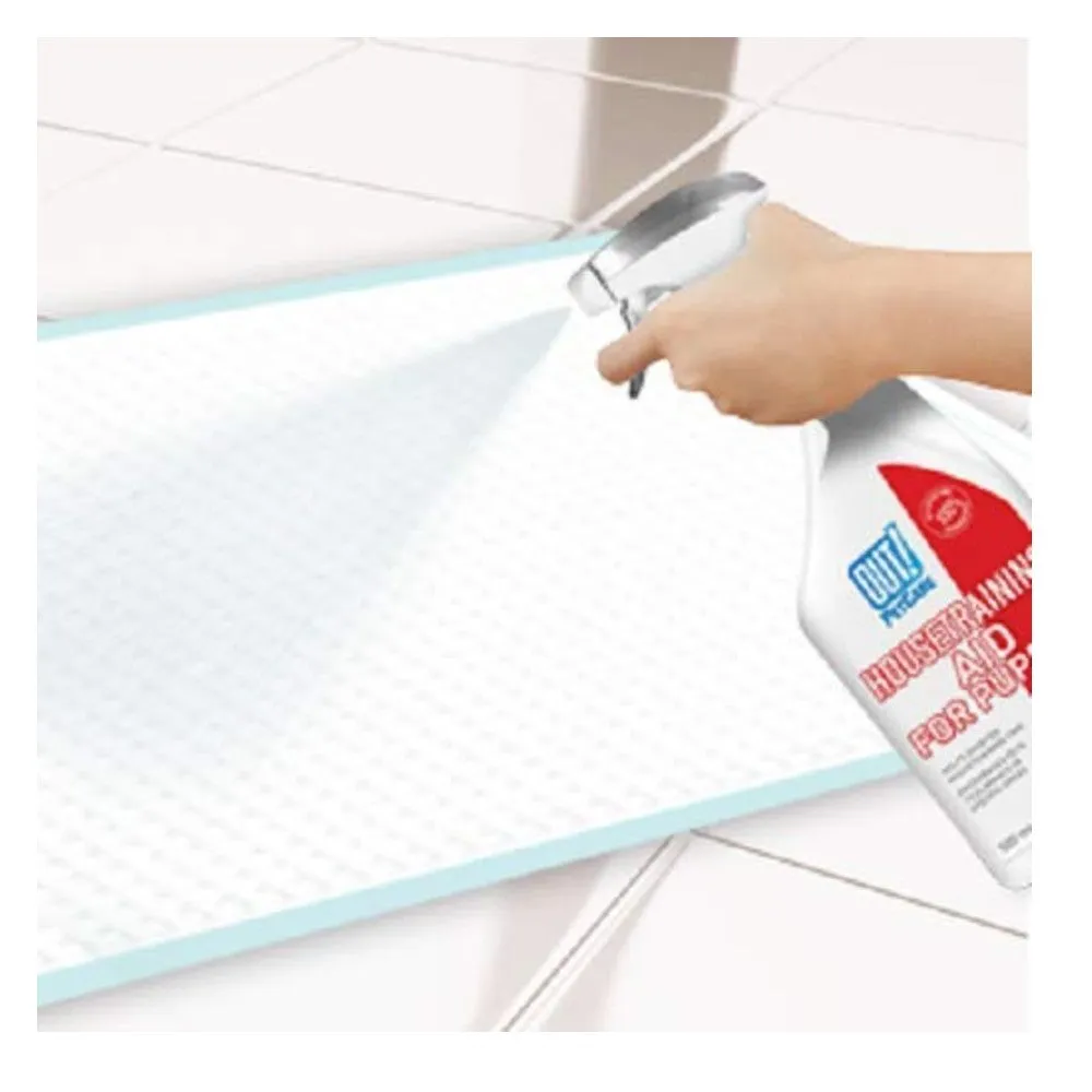 Out Toilet / House Training Aid for Puppies